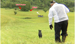 "Red Zone" Handling on Blinds