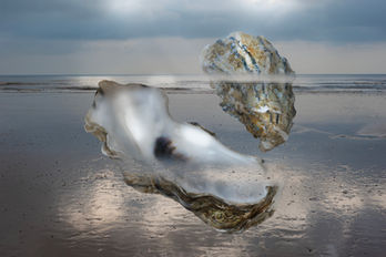 Shells on a sunset beach