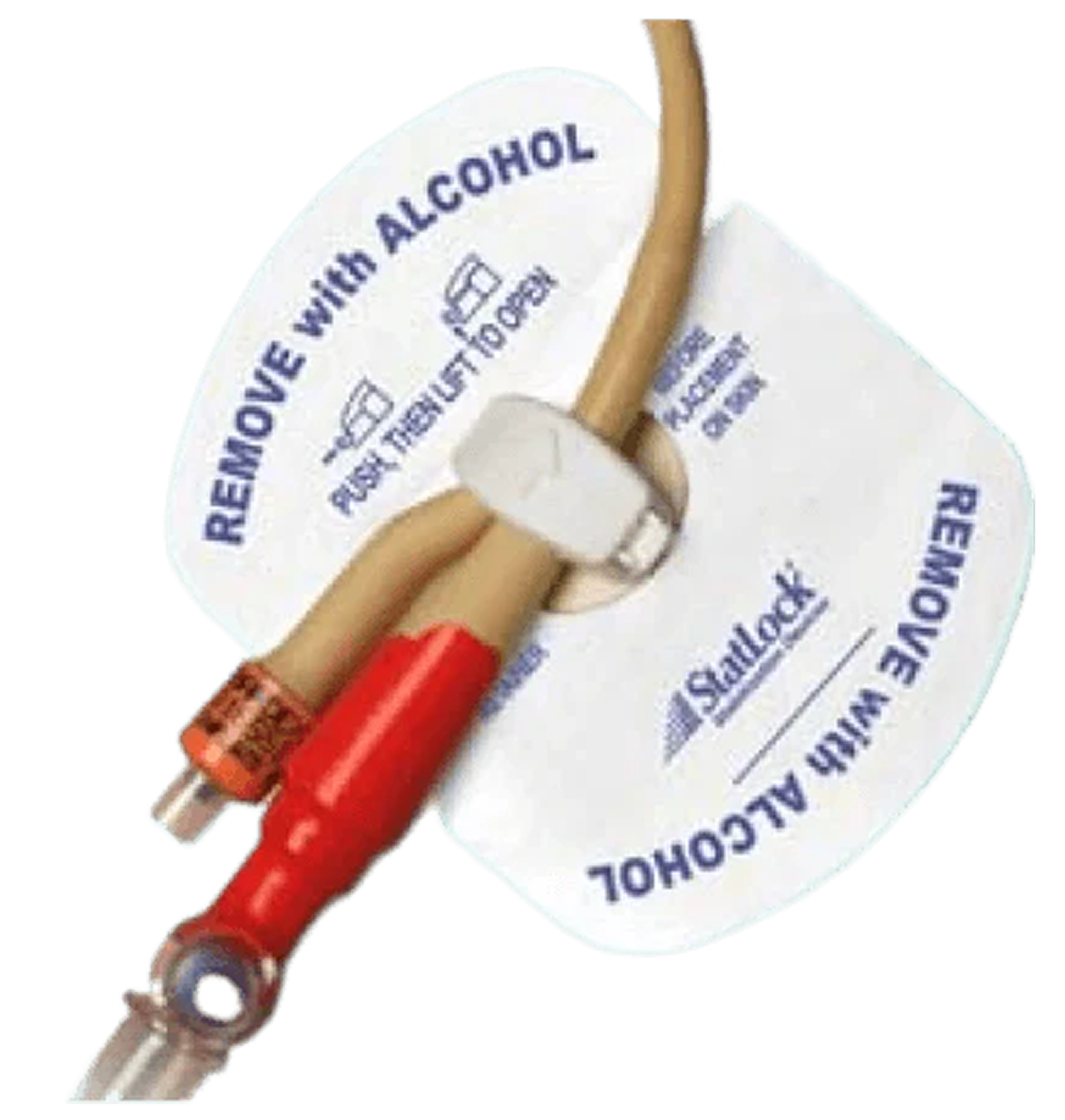 image 7 (2).png