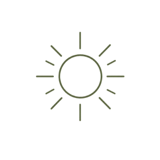 Clip path group (1).png