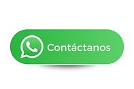 logo palomino (4).png