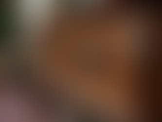 Adding Elegance with Vintage Furniture Auctions