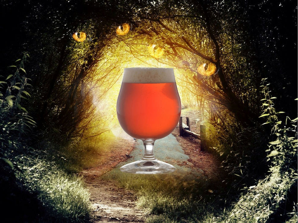 Historia & Birra
No es magia; es Lambic