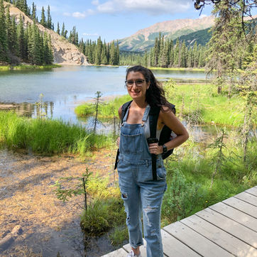 AYFA Member of the Month: Stephney Bazi (ASAC)