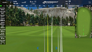 Foresight Driving Range