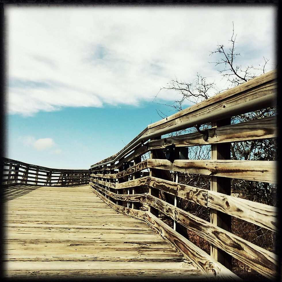 Montauk