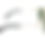 Thumbnail: Tonino Lamborghini TL768 Sunglasses