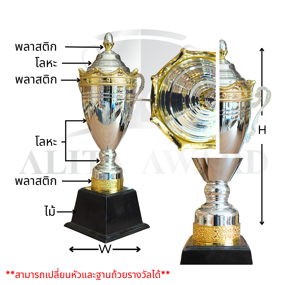 ภาพขนาดย่อ: ถ้วยรางวัลโลหะ H200