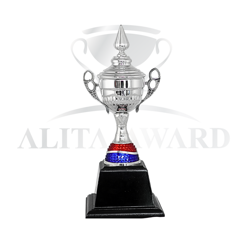 ภาพขนาดย่อ: ถ้วยรางวัลโลหะ D41