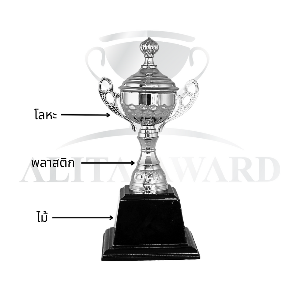 ภาพขนาดย่อ: ถ้วยรางวัลโลหะ A40