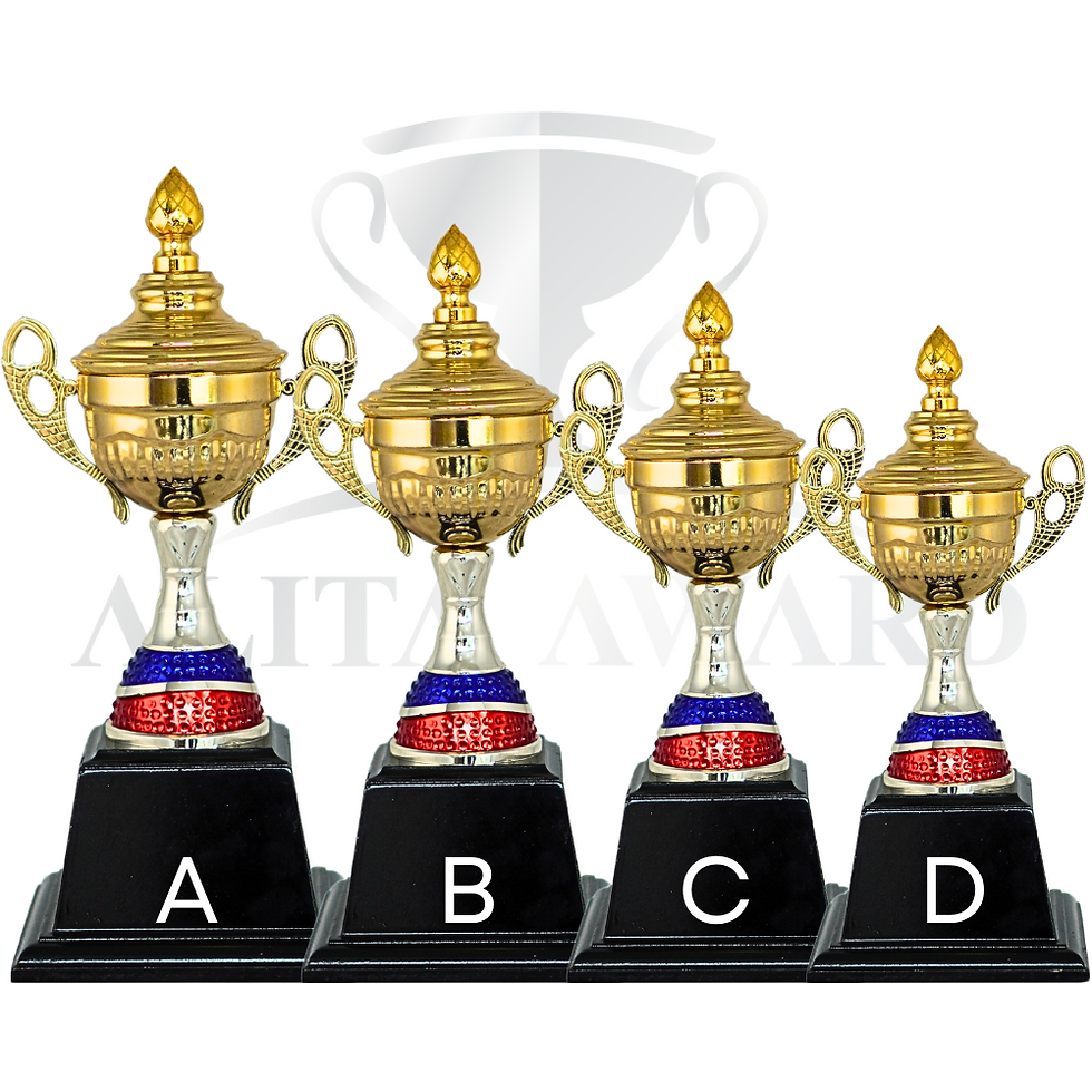 ภาพขนาดย่อ: ถ้วยรางวัลโลหะ D41