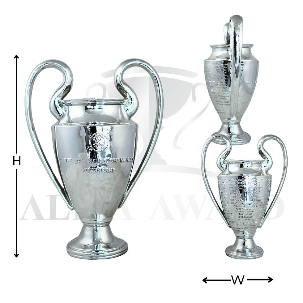 ถ้วยรางวัลเรซิ่นฟุตบอล (UEFA) R1047