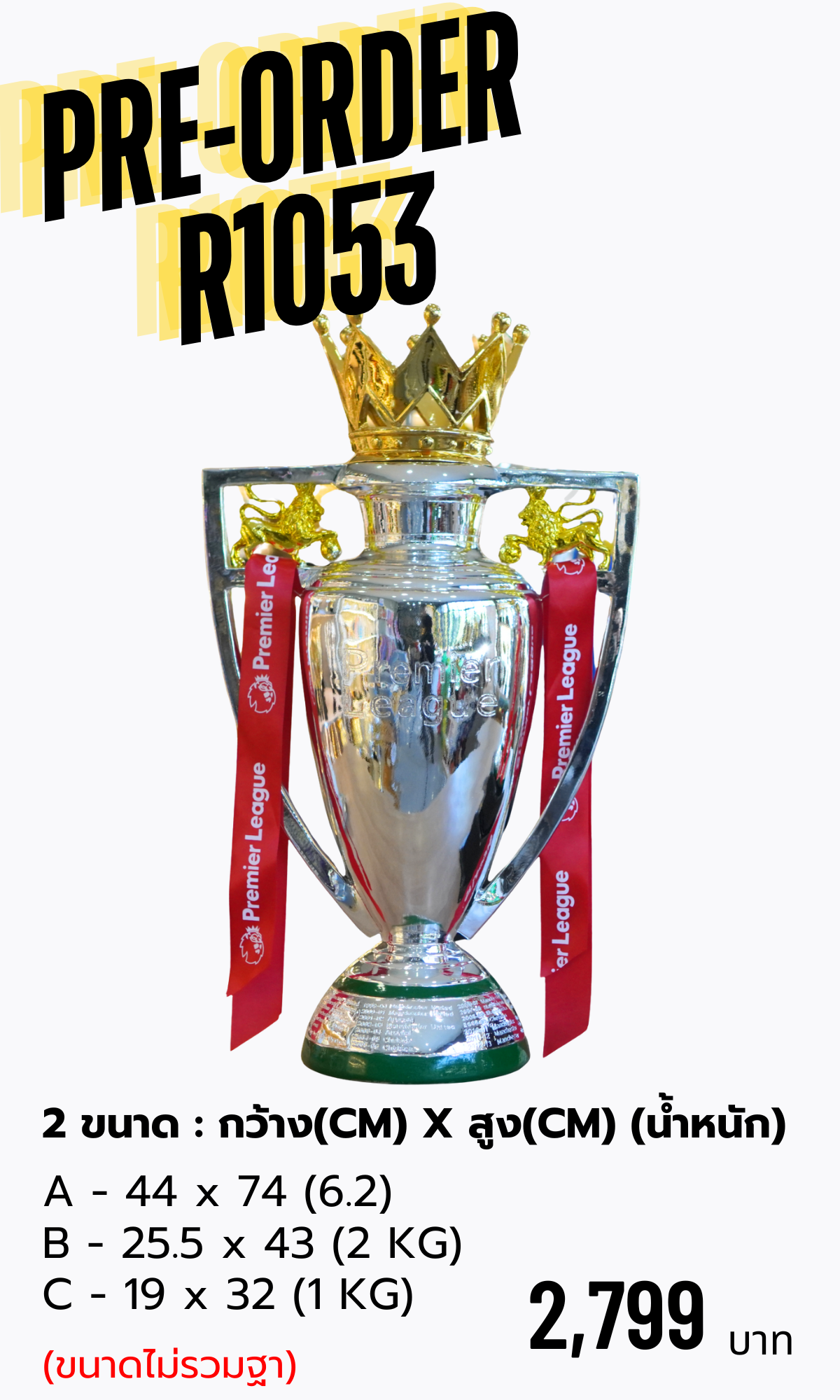 ถ้วยรางวัลเรซิ่นฟุตบอล พรีเมียร์ลีก R1053