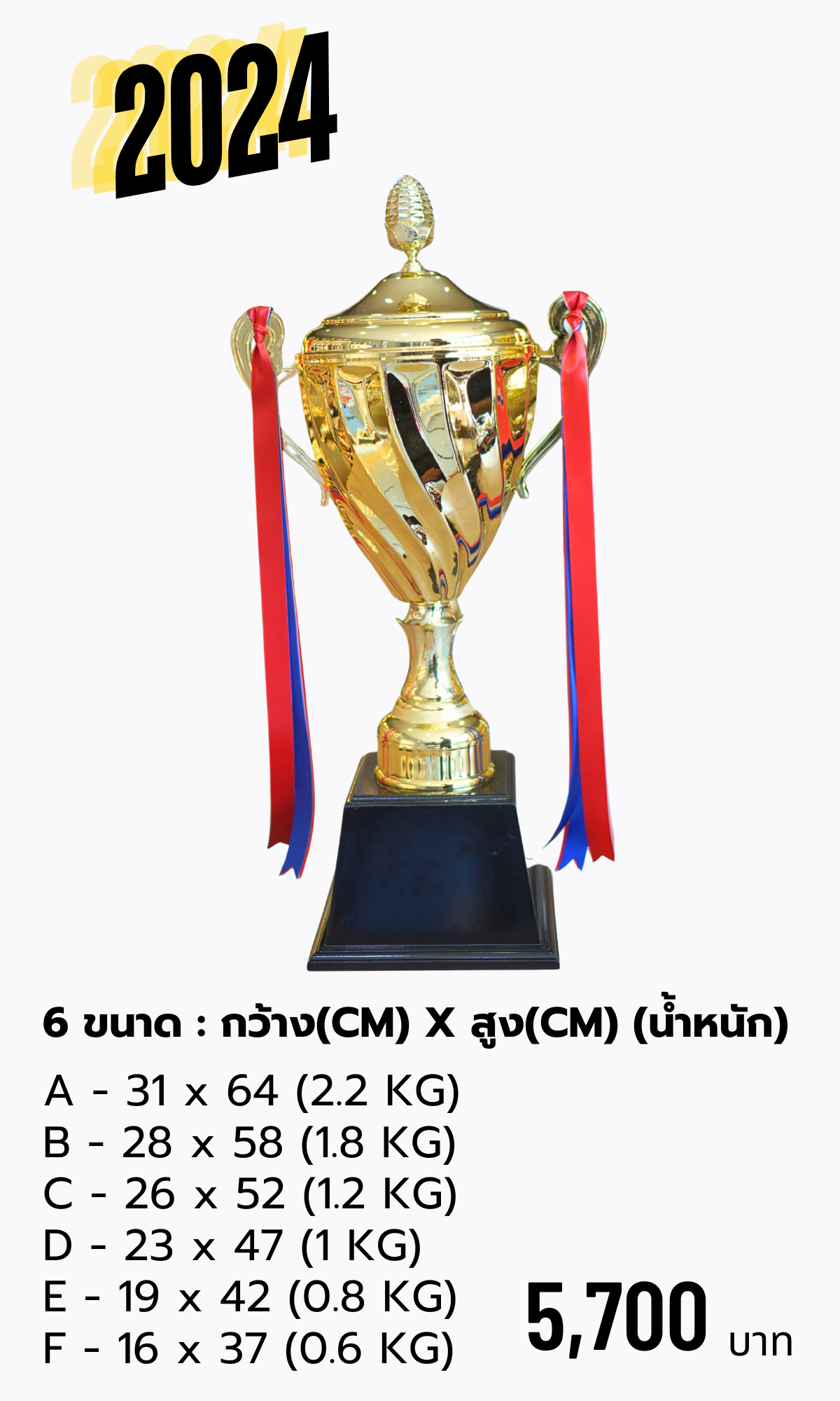 ถ้วยรางวัลโลหะ 2024