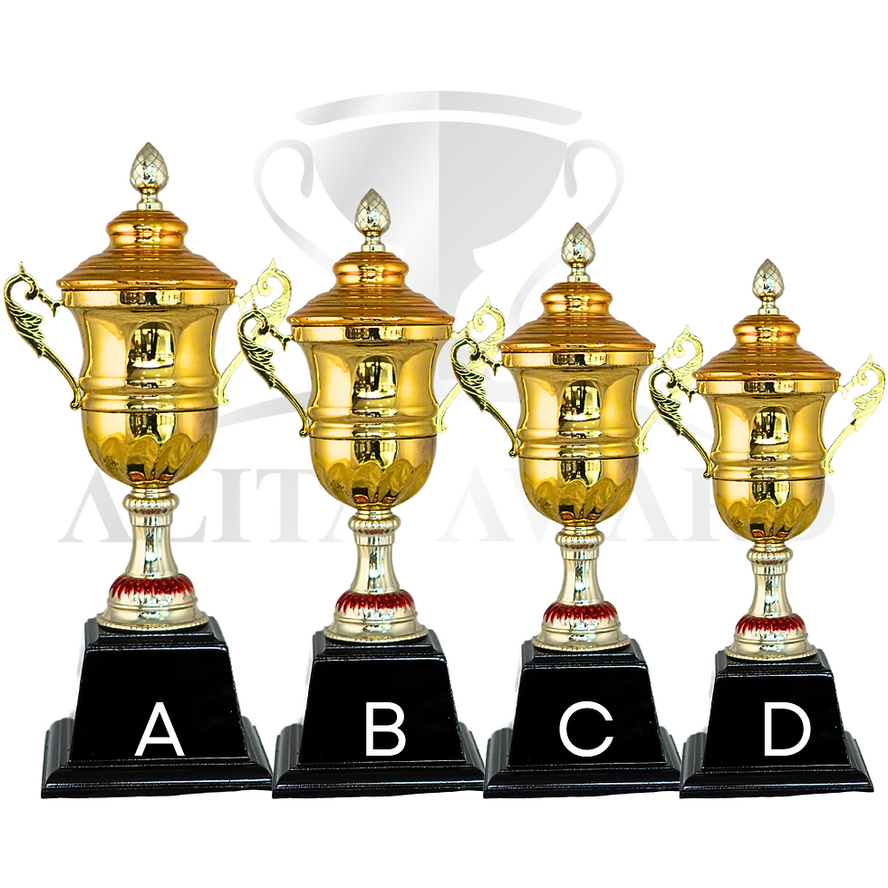 ภาพขนาดย่อ: ถ้วยรางวัลโลหะ 2069