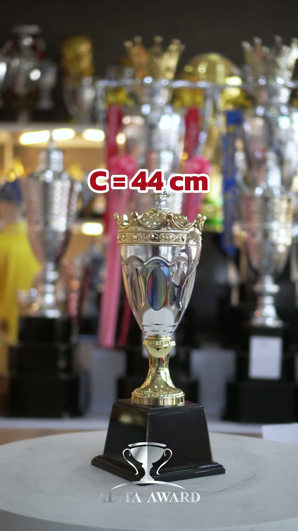 ภาพขนาดย่อ: ถ้วยรางวัลโลหะ H282