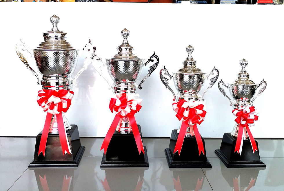 ภาพขนาดย่อ: ถ้วยรางวัลโลหะ 3029