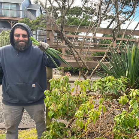 Beach Time Landscaping Monthly Garden Maintenance