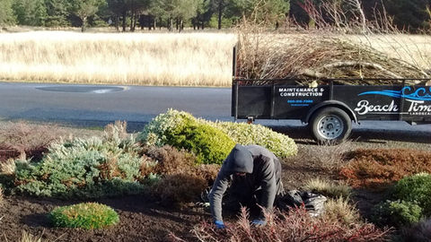 Beach Time Landscaping Monthly Garden Maintenance