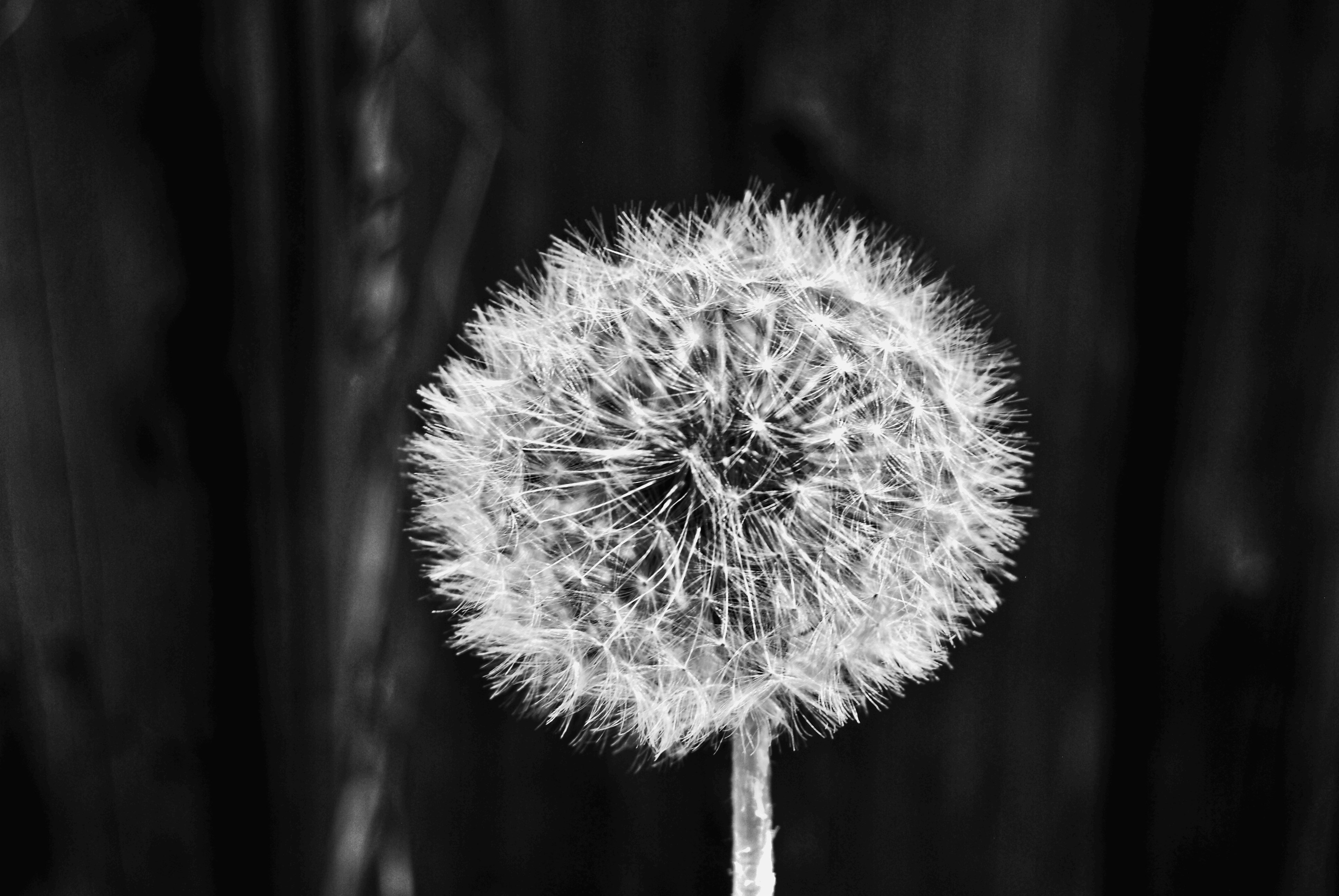 Poesie des Augenblicks