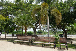 Bancas en nuestra plaza