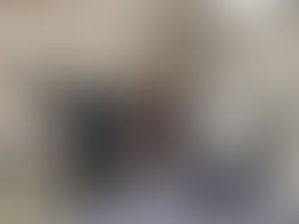 Helping Their American Counterparts