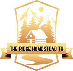 FullLogo_Transparent_NoBuffer(2).png