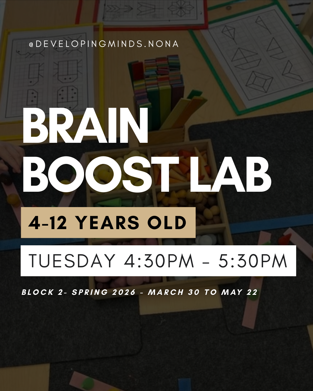 Brain Boost Lab (4-12) - Block 2 (march - may)