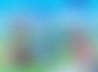 Arosa bear sanctuary & adventure trail booklet