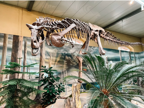 Museum in Switzerland: Dinosaur