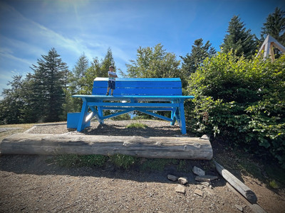 Squitty the Squirrel treasure hunt in Cardada Giant Bench