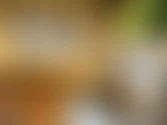 vogelpark ambigua play area