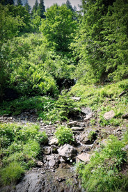 Heidipfad Heidi Trail Pizol views