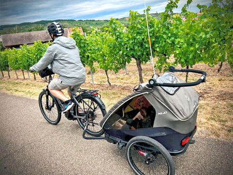 alsace cycle routes bikers