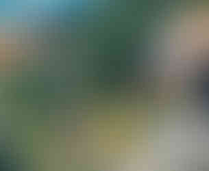 Saint-Léonard underground lake outdoor garden