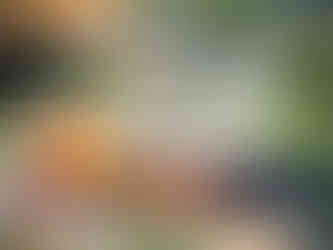 Saint-Léonard underground lake outdoor garden