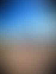 Squitty the Squirrel treasure hunt in Cardada infinity swing