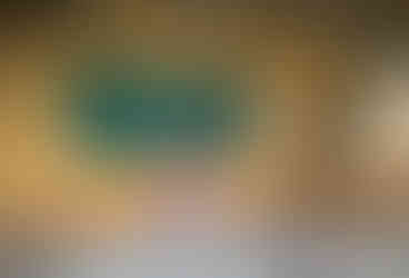 vogelpark ambigua play area