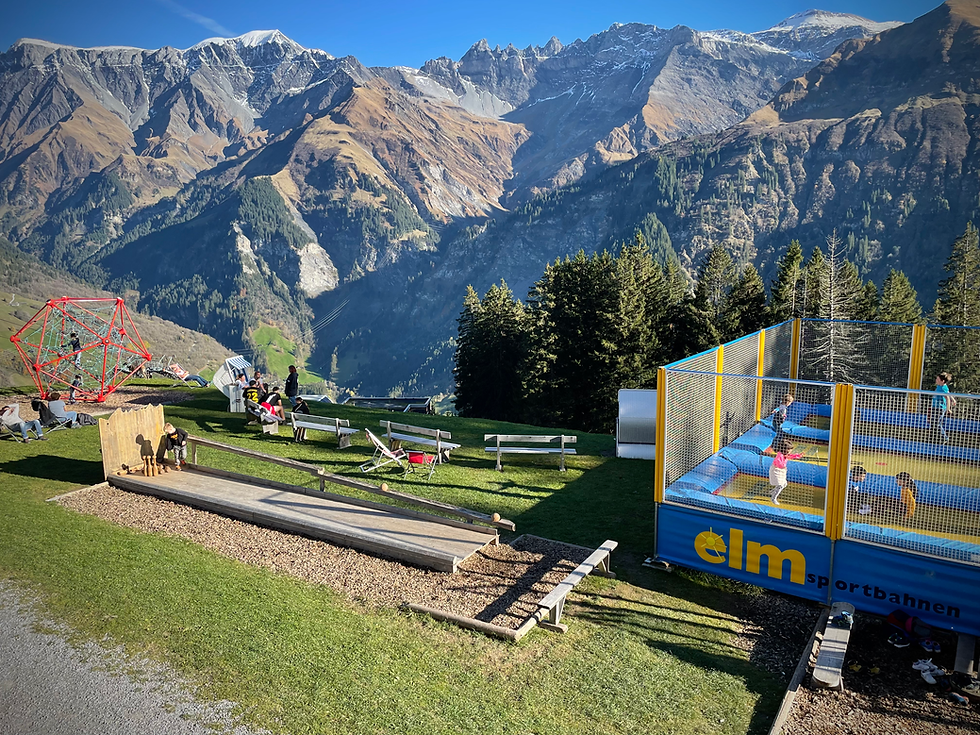 Family Guide to "Giant Forest" (Riesenwald) in Elm