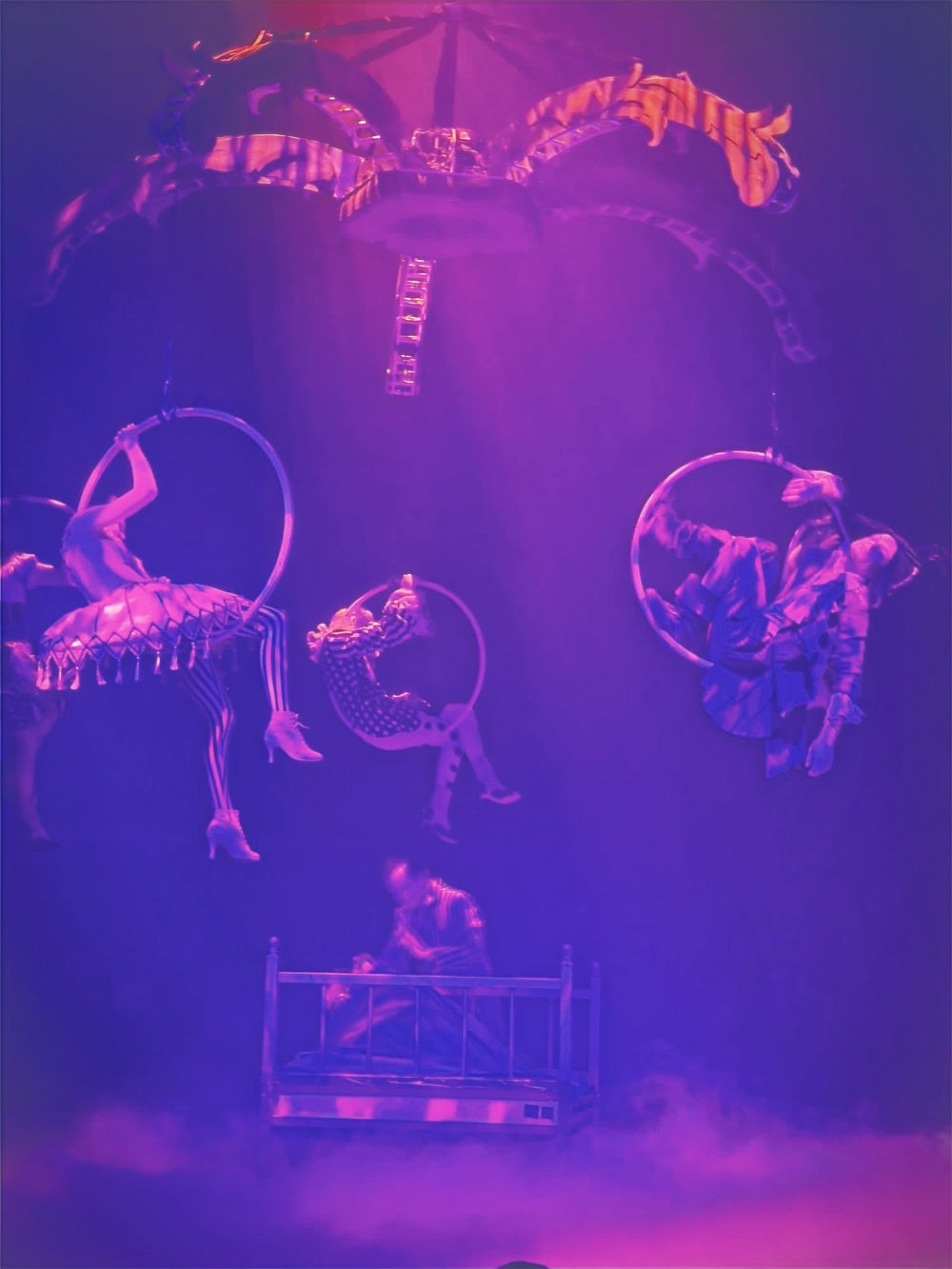 Circus with kids and family in Switzerland Salto