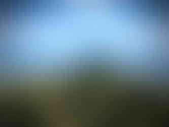 Squitty the Squirrel treasure hunt in Cardada Viewing Platform