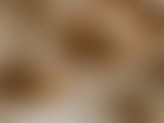 L'aventure commence !