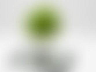 Événements hybrides RSE