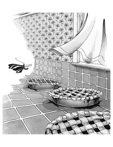 Stella Over Pies.jpeg