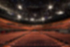 Arena Seating
