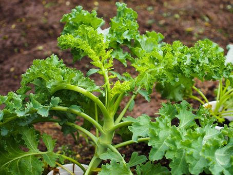 My Sustainability Journey 2025