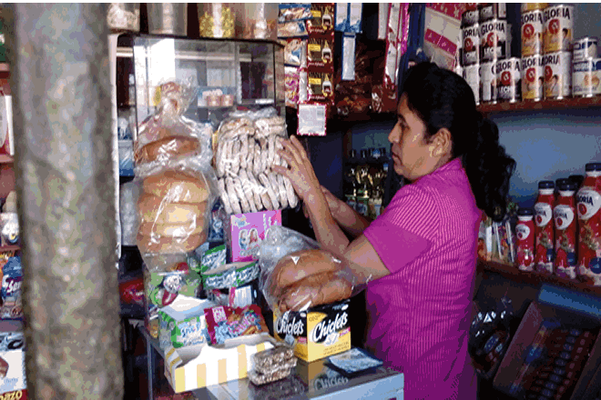 Bodegaedumar.gif