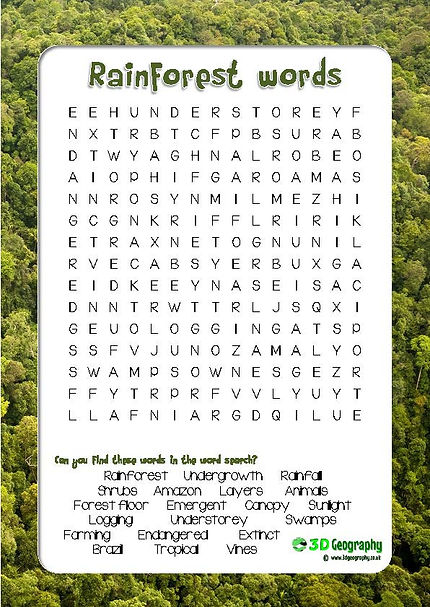 free rainforest worksheets for teaching and learning about rainforests