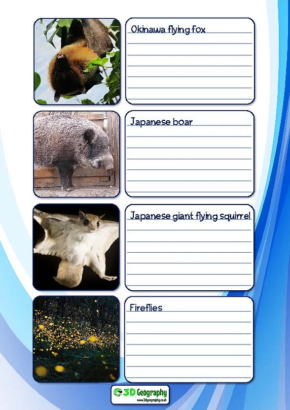 japan worksheets