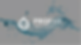 loading-transformed.png